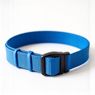 Classic blue nylon dog collar with reflective stitching